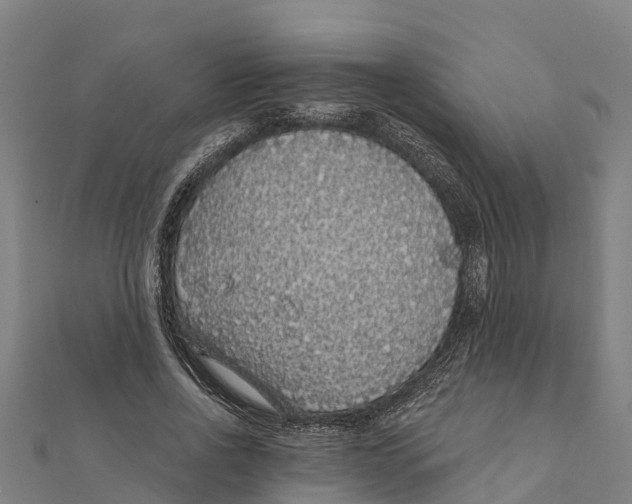 X0000111590734200908131340