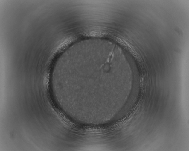X0000111590735200908131340