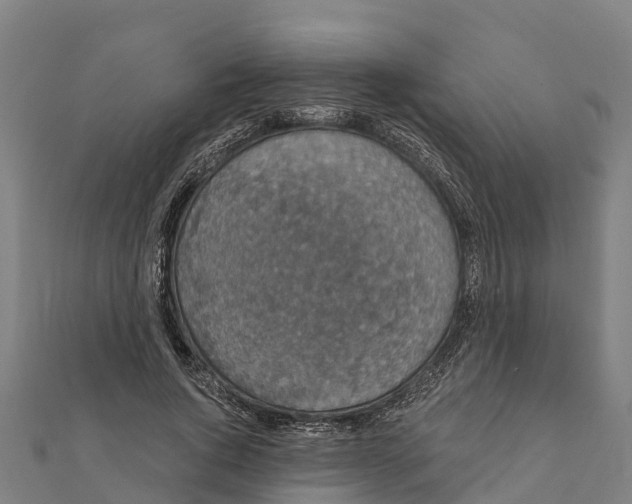 X0000111590736200908131340