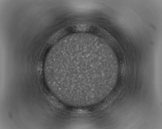 X0000111590737200908131340