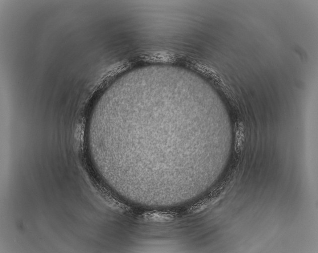 X0000111590739200908131340