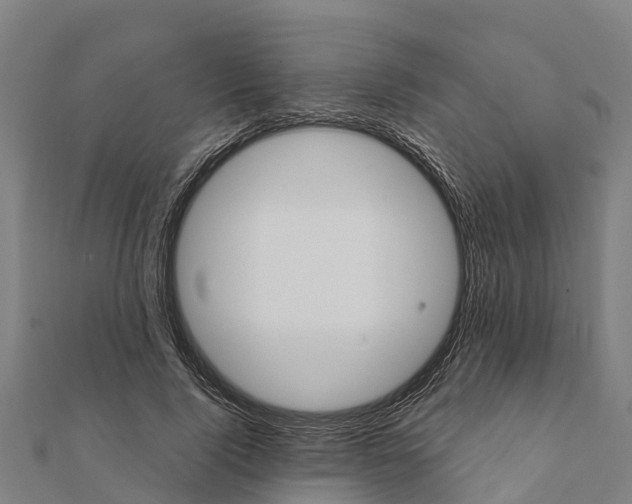 X0000111590740200908131340