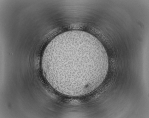 X0000111590741200908131340