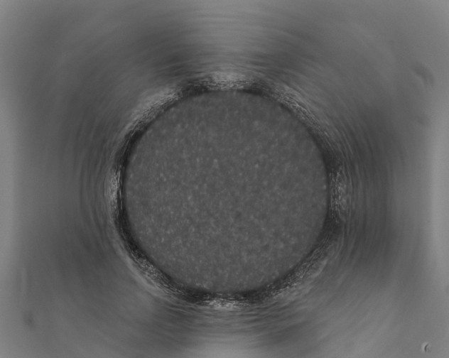 X0000111590742200908131340