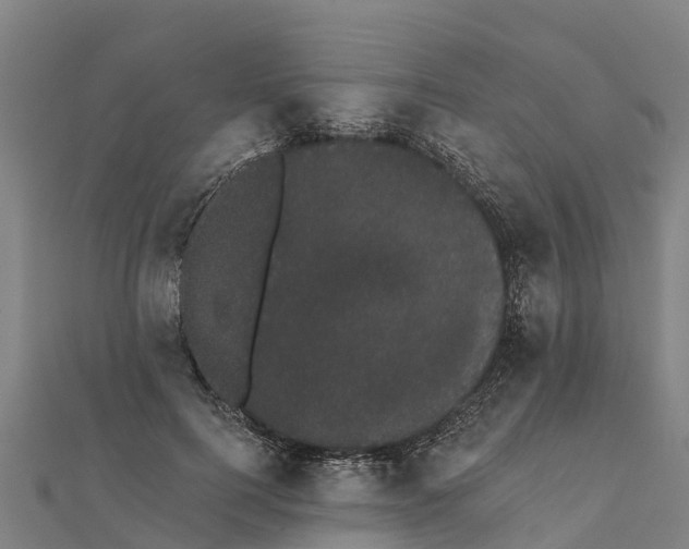 X0000111590744200908131340