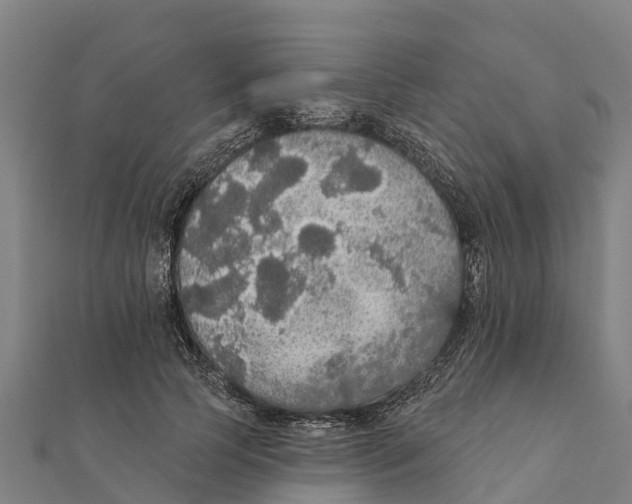 X0000111590745200908131340