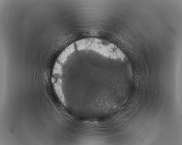 X0000111590747200908131340