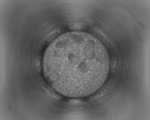 X0000111590749200908131340