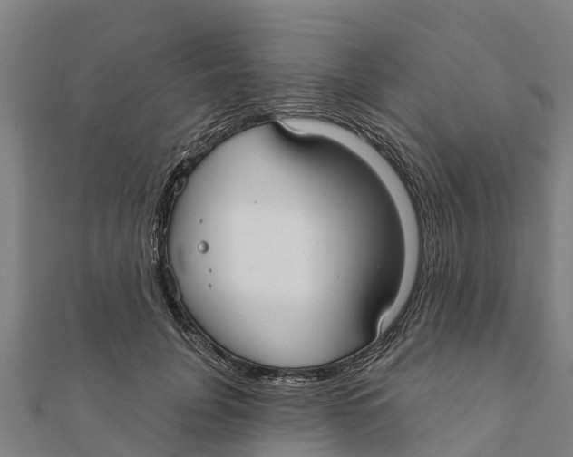 X0000111590751200908131340