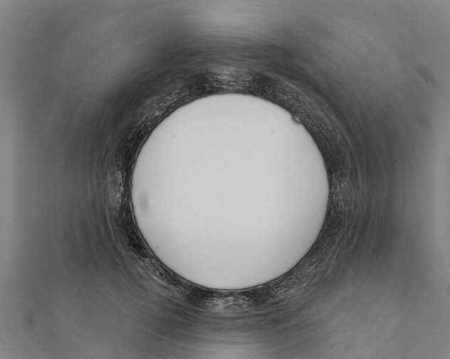 X0000111590752200908131340