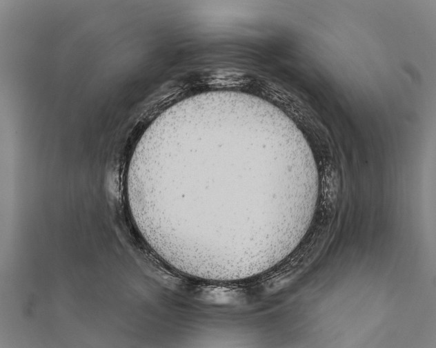 X0000111590755200908131340