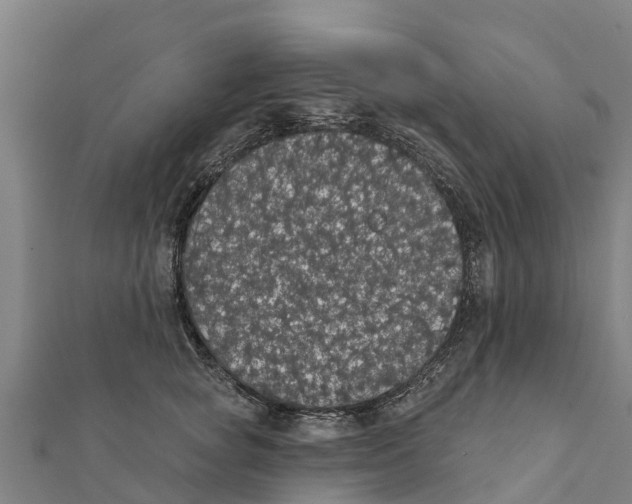 X0000111590757200908131340