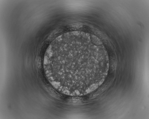 X0000111590758200908131340