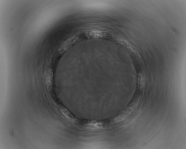 X0000111590760200908131340
