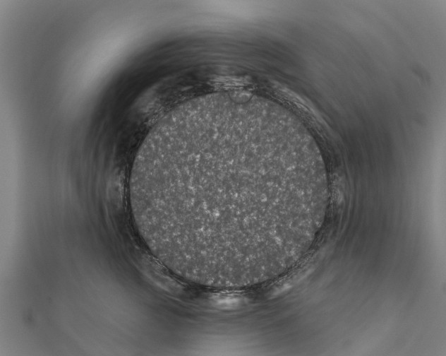 X0000111590761200908131340