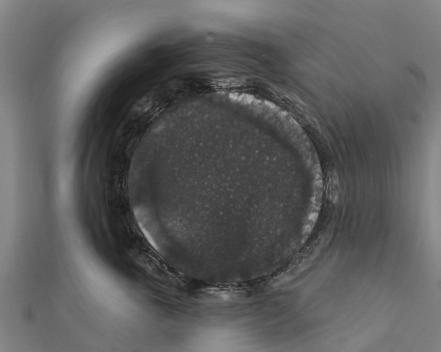 X0000111590763200908131340