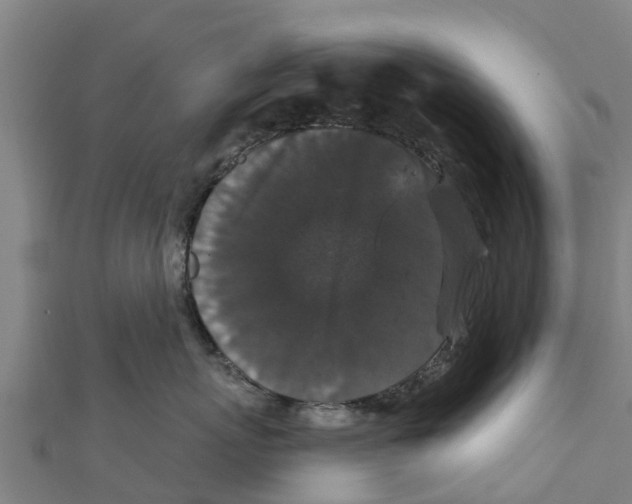 X0000111590767200908131340