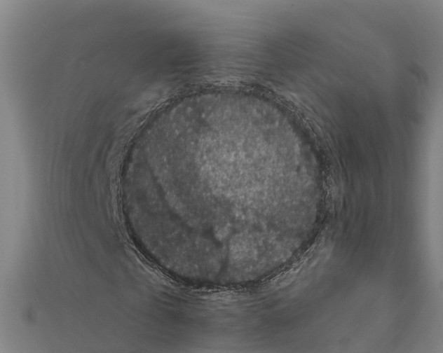 X0000111590769200908131339