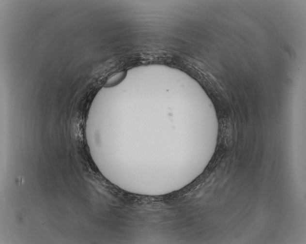 X0000111590770200908131339