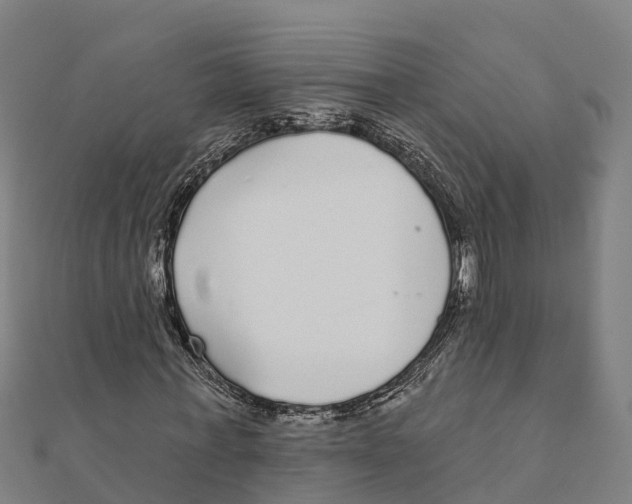 X0000111590771200908131339