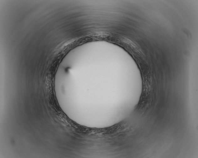 X0000111590773200908131339