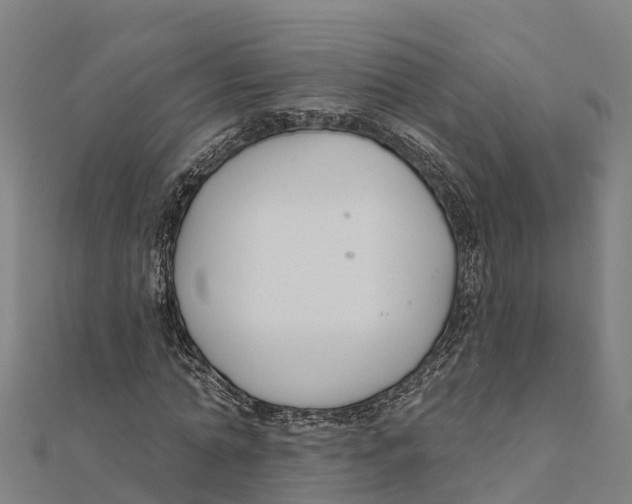 X0000111590774200908131339