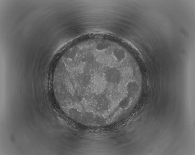 X0000111590775200908131339