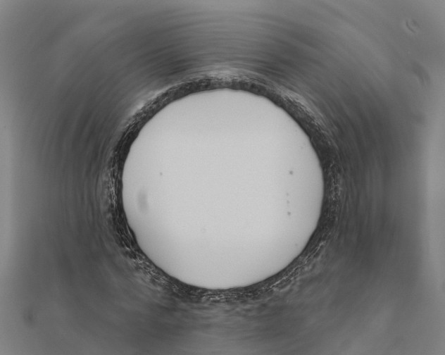 X0000111590776200908131339