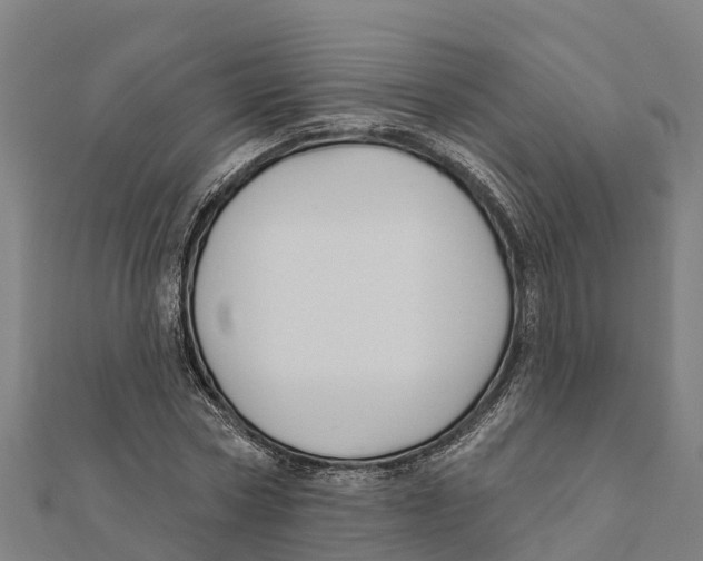 X0000111590778200908131339