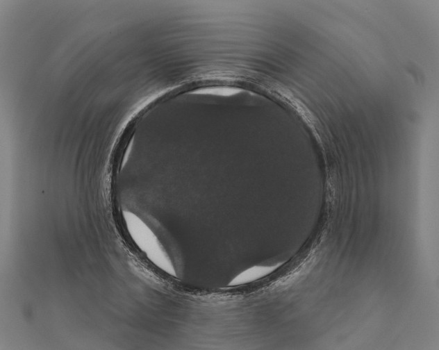 X0000111590779200908131339
