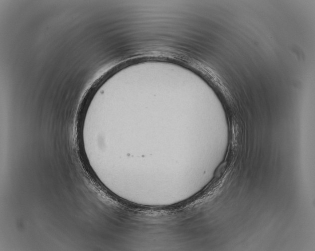 X0000111590780200908131339