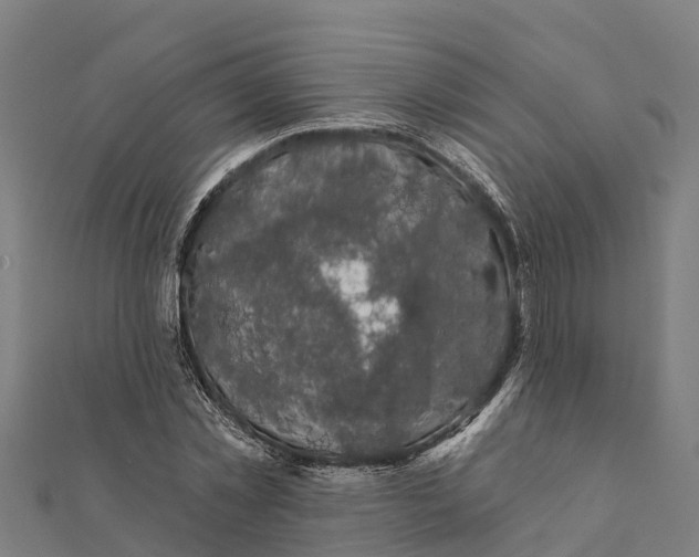 X0000111590781200908131339