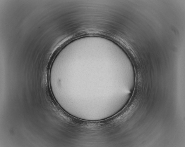 X0000111590782200908131339