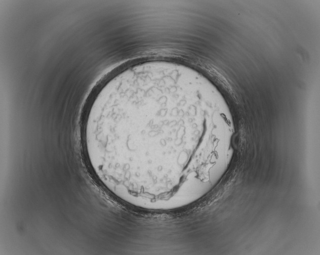 X0000111590784200908131339