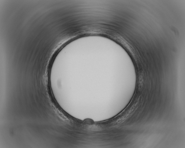 X0000111590787200908131339