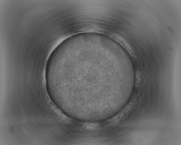 X0000111590788200908131339