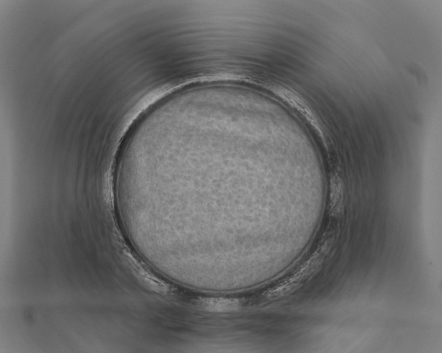 X0000111590789200908131339