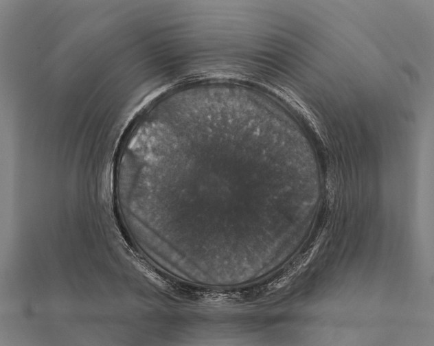 X0000111590790200908131339