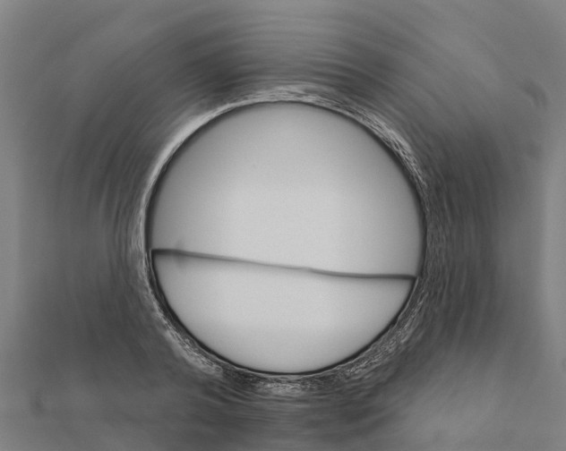 X0000111590792200908131339