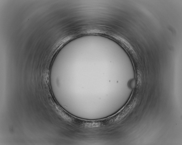 X0000111590793200908131339