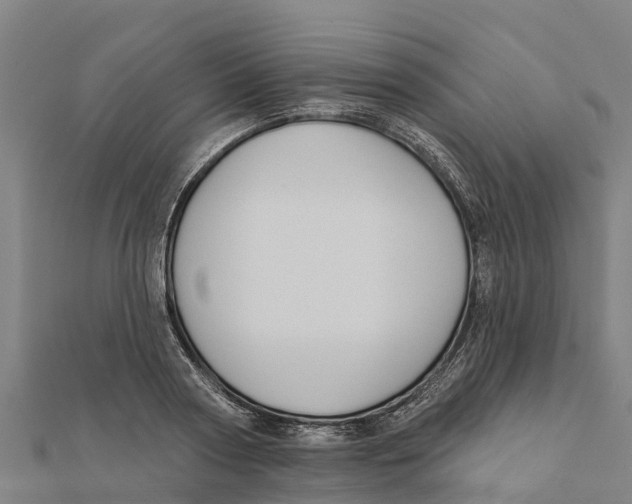 X0000111590794200908131339