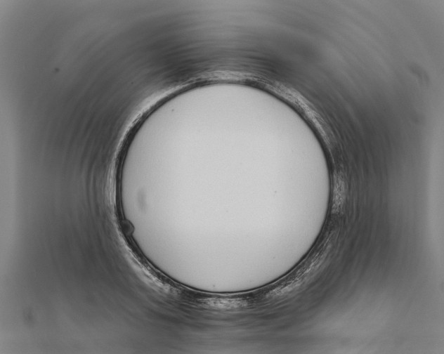 X0000111590795200908131339