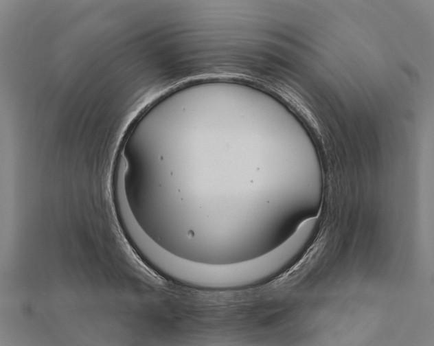 X0000111590797200908131339