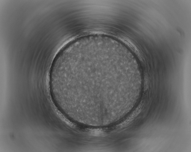 X0000111590798200908131339