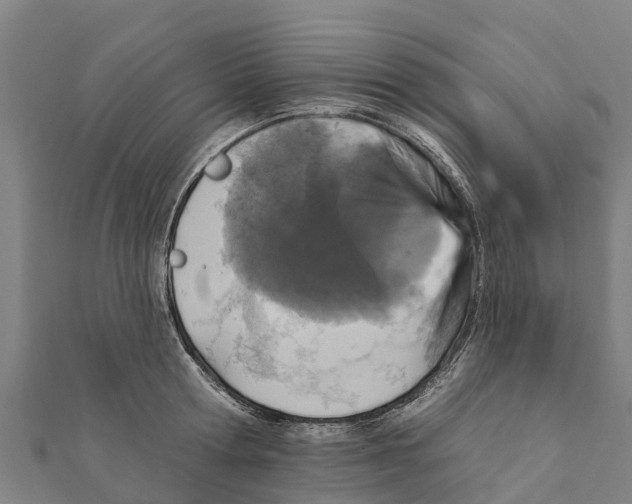 X0000111590802200908131339