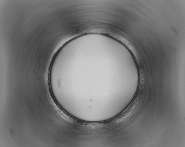 X0000111590803200908131339