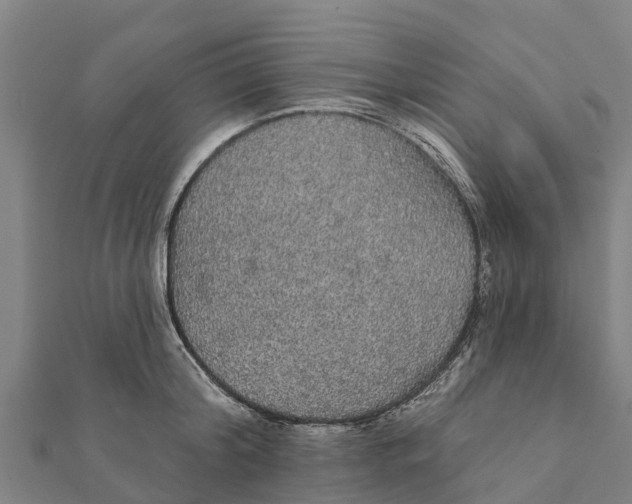 X0000111590804200908131339