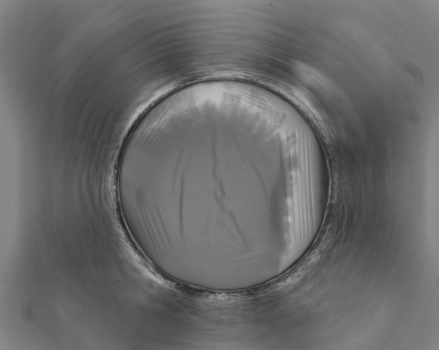 X0000111590806200908131339
