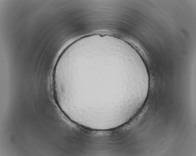 X0000111590808200908131339