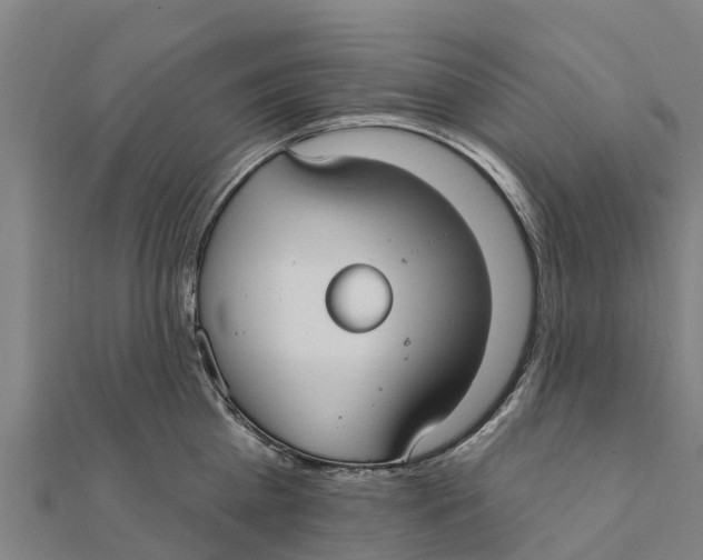 X0000111590809200908131339